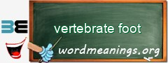 WordMeaning blackboard for vertebrate foot